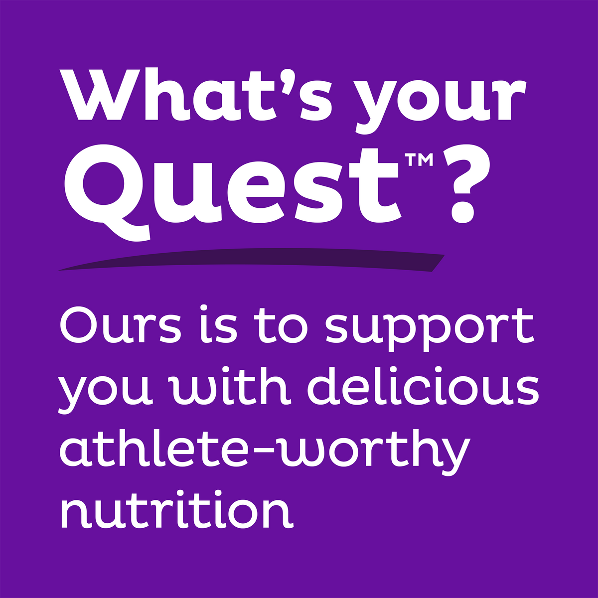 double-chocolate-chunk-protein-bars-r5 qst-000241_double-chocolate-chunk-protein-bars_9.png